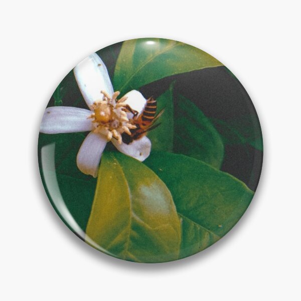 Item preview, Nature designed and sold by FamaAtif.