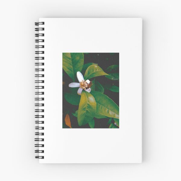 Item preview, Nature designed and sold by FamaAtif.