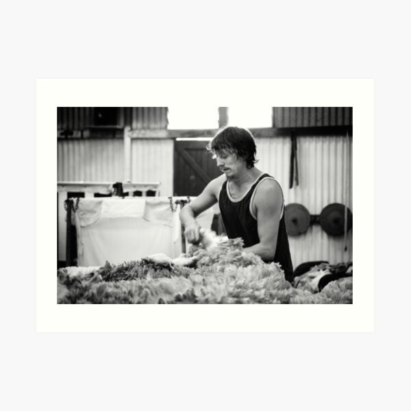 Shearing #11 ... Clifton Farm , Dumbleyung Art Print