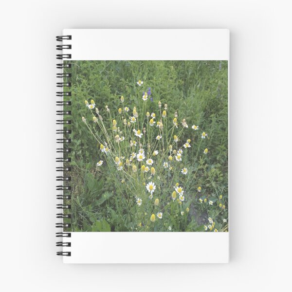 Item preview, Chamomile designed and sold by IVEKDESIGN.