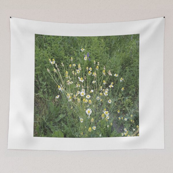 Item preview, Chamomile designed and sold by IVEKDESIGN.