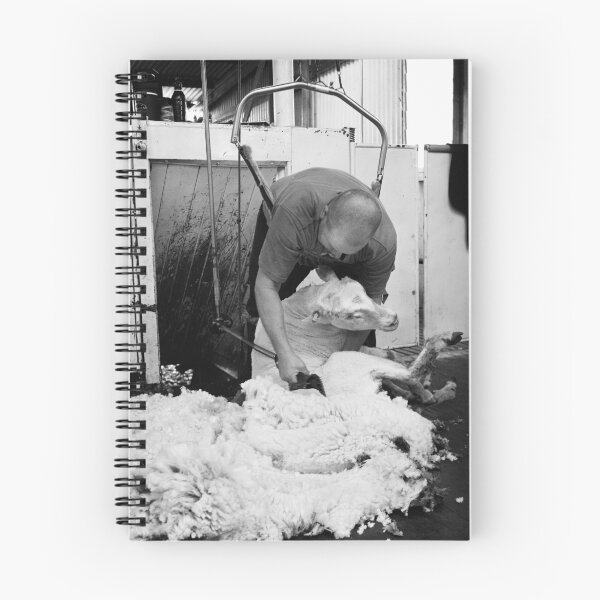 Item preview, Shearing #16 ... Clifton Farm , Dumbleyung  designed and sold by Malcolm Heberle.