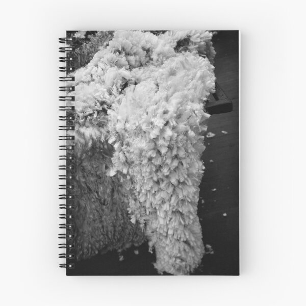 Item preview, Shearing #17 ... Clifton Farm , Dumbleyung  designed and sold by Malcolm Heberle.