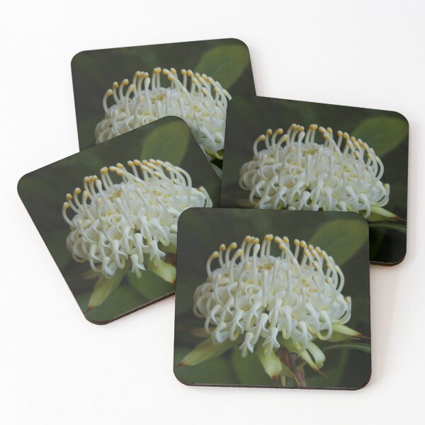 Item preview, White Waratah designed and sold by Michael Matthews.