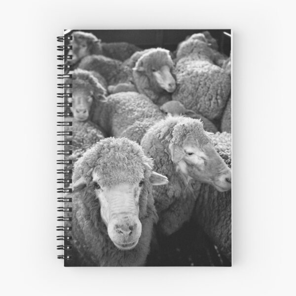 Item preview, Shearing #20 ... Clifton Farm , Dumbleyung designed and sold by Malcolm Heberle.