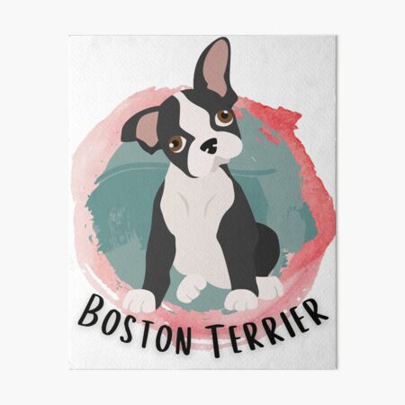Item preview, Cute Boston Terrier Puppy designed and sold by NovaNicalyn.