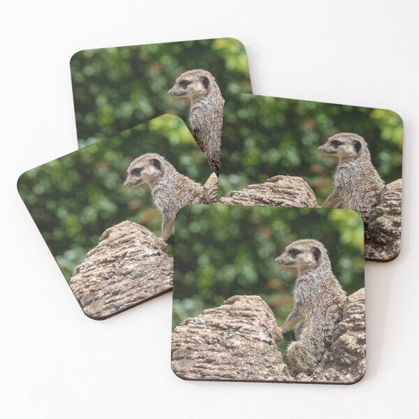 Item preview, Meerkat on Lookout designed and sold by DaveBond.