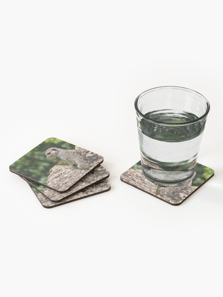 Alternate view of Meerkat on Lookout Coasters (Set of 4)