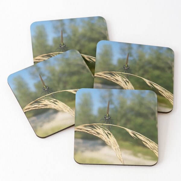 Item preview, Liberi tutti designed and sold by Nena68.