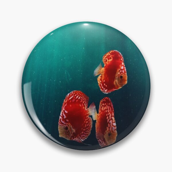 Item preview, DISCUS FISH, Red Panda designed and sold by Danicus666.
