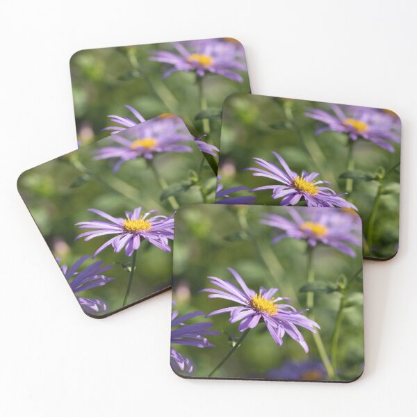 Item preview, alpine aster designed and sold by codaimages.