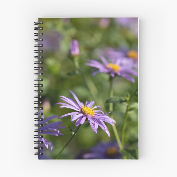 Item preview, alpine aster designed and sold by codaimages.