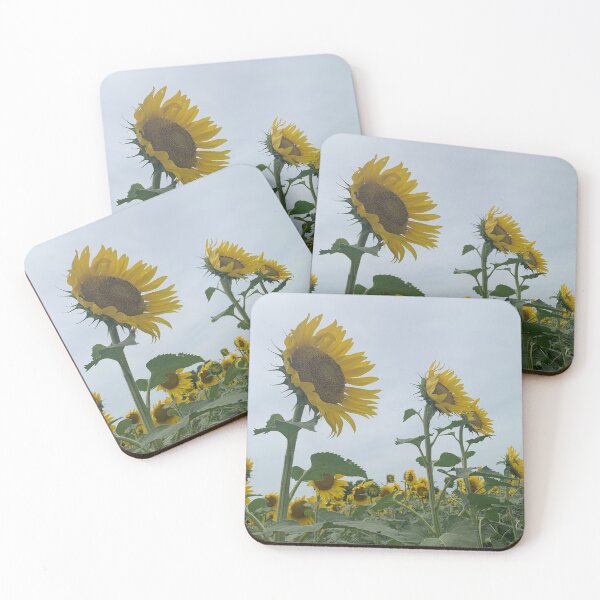 Item preview, Sunflowers looking for the sun designed and sold by drekayer.