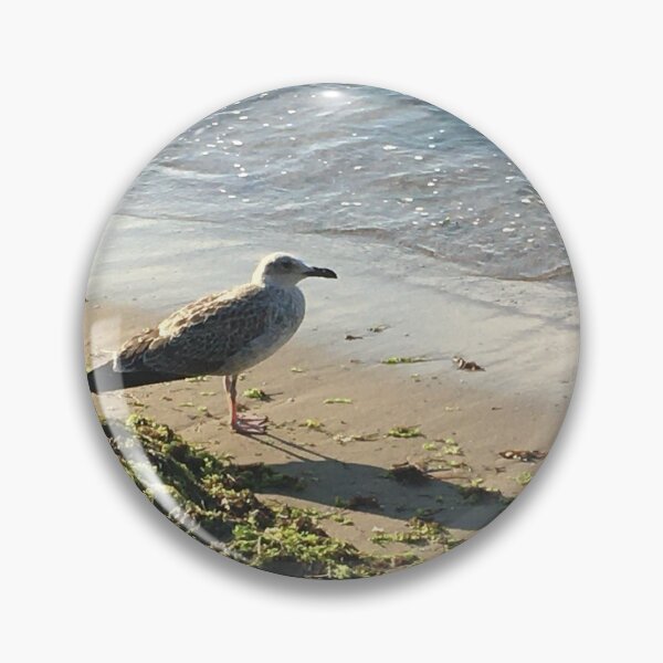 Item preview, Beach bird designed and sold by Martin06.