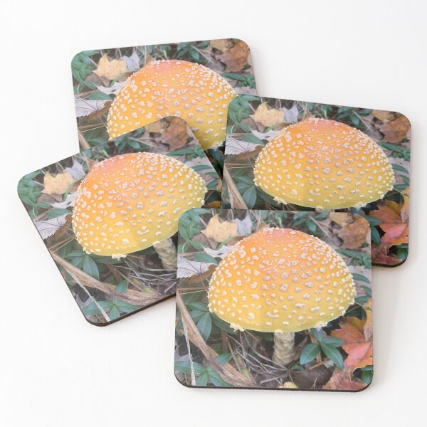 Item preview, Mushroom designed and sold by Aclsyl.