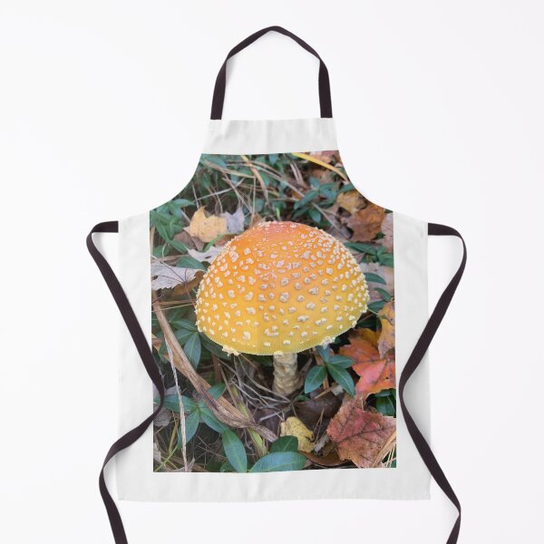 Item preview, Mushroom designed and sold by Aclsyl.