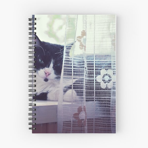 Item preview, Cat on the window designed and sold by Mikko  Suhonen.