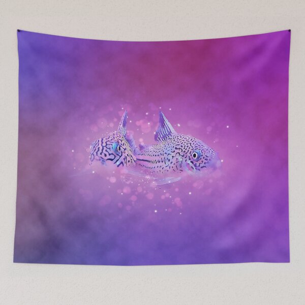 Item preview, Corydoras Julii Pair designed and sold by GFishy.
