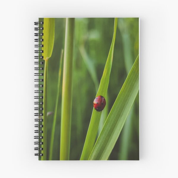 Item preview, Ladybug in the grass designed and sold by masked-ivan.