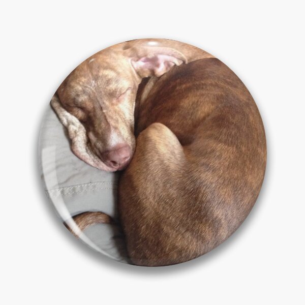 Item preview, Baby dog sleeping designed and sold by Aclsyl.