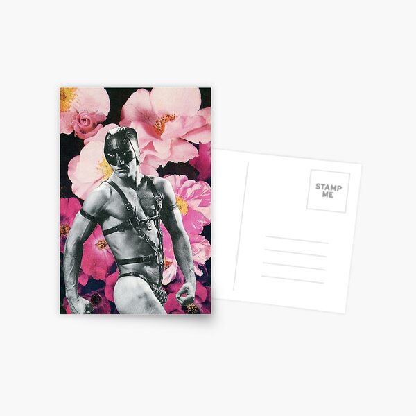 Dainty Maid Postcard