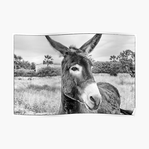 My best friend - Majorca Poster