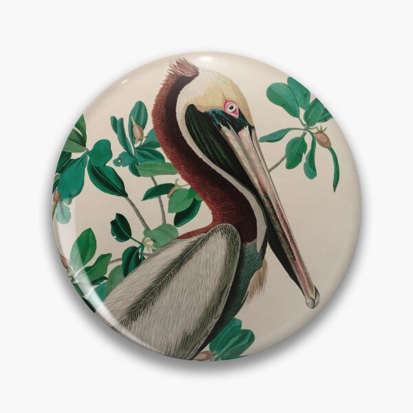 Item preview, Birds of America Audubon Brown Pelican Illustration Bird Lovers Gift designed and sold by VintageArchive.