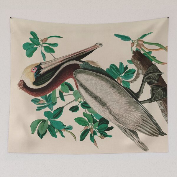 Item preview, Birds of America Audubon Brown Pelican Illustration Bird Lovers Gift designed and sold by VintageArchive.