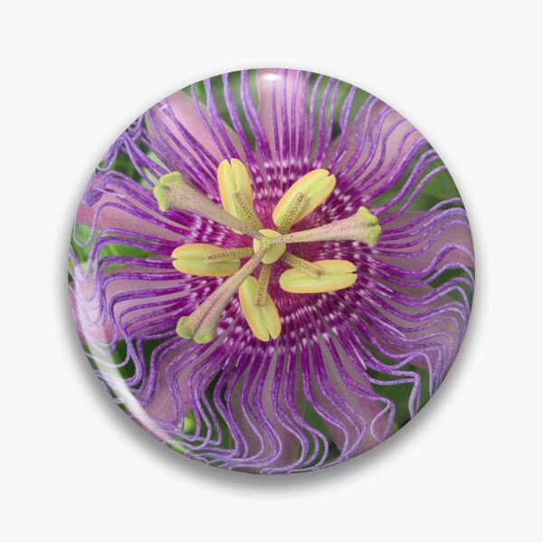Item preview, Passionflower designed and sold by drekayer.