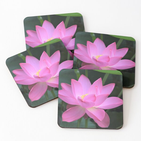Artikelvorschau, Sommerthema Rosa Seerose Lotus Flower Photography entworfen und verkauft von wenjunior.