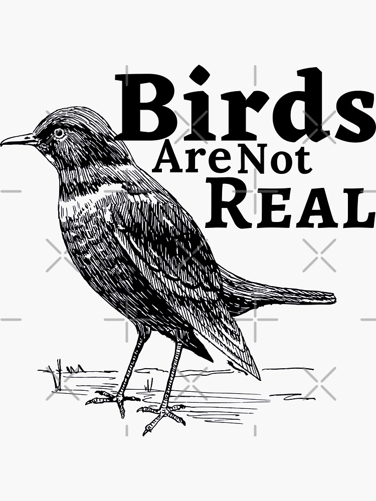 "Birds are not real" Sticker for Sale by AINDRY | Redbubble