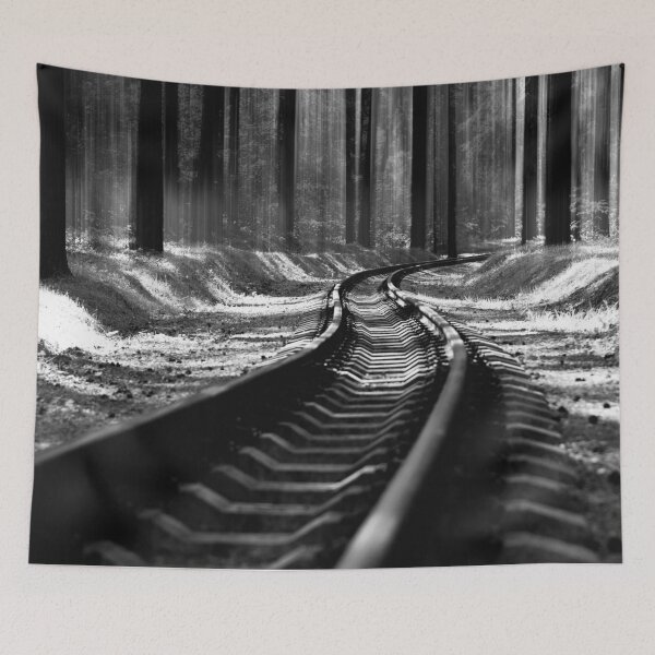 Item preview,    Tapestries,Tapestry,throw blankets,comforters,duvet covers ,  train track,Railroad art,train wall art,Train art,train track art,railpictures,framed wall art designed and sold by eyesight4vision.