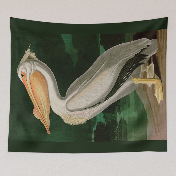 Item preview, Birds of America Audubon American White Pelican Illustration Bird Lovers Gift designed and sold by VintageArchive.