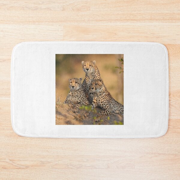 Item preview, Cheetah Family Portrait designed and sold by Anthony Goldman.