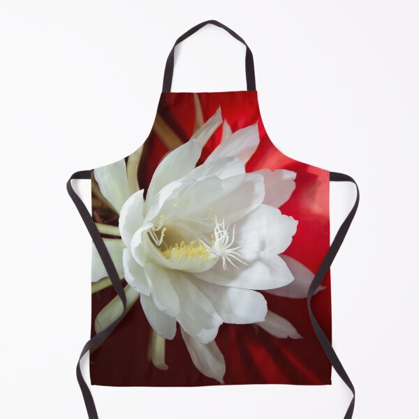 Item preview, White blooming cactus designed and sold by Zina Stromberg.