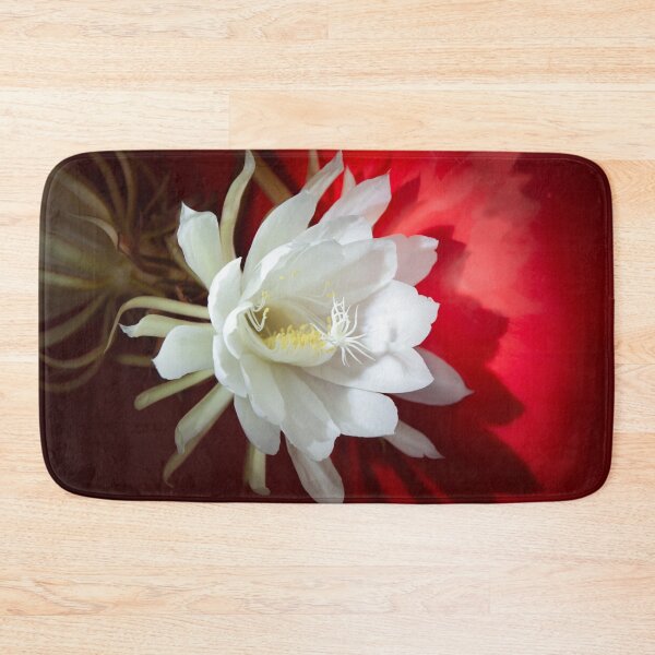 Item preview, White blooming cactus designed and sold by Zina Stromberg.