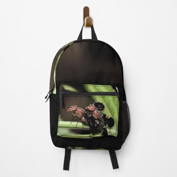 Item preview, Black Onion Fly designed and sold by DonnaM.