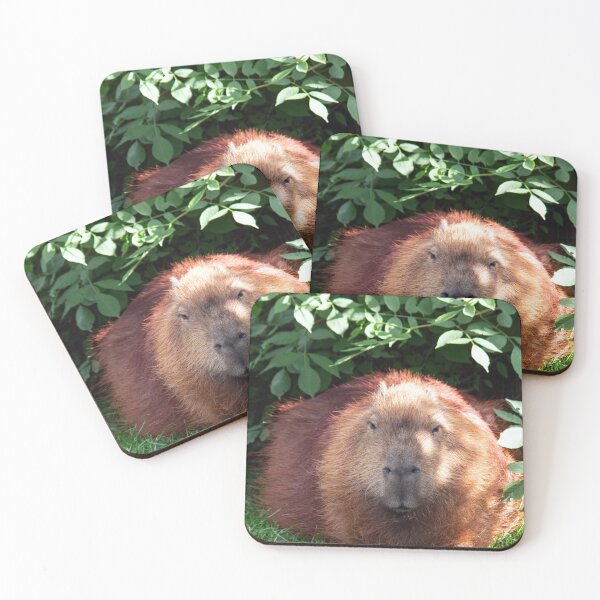 Item preview, Capybara designed and sold by HazelWright.