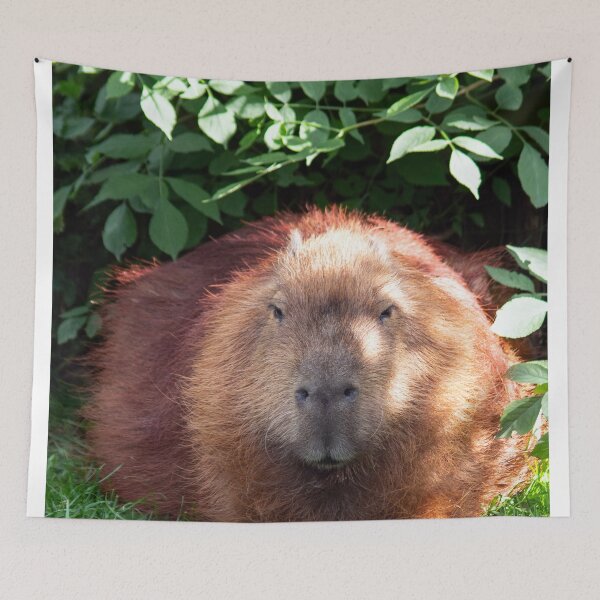 Item preview, Capybara designed and sold by HazelWright.