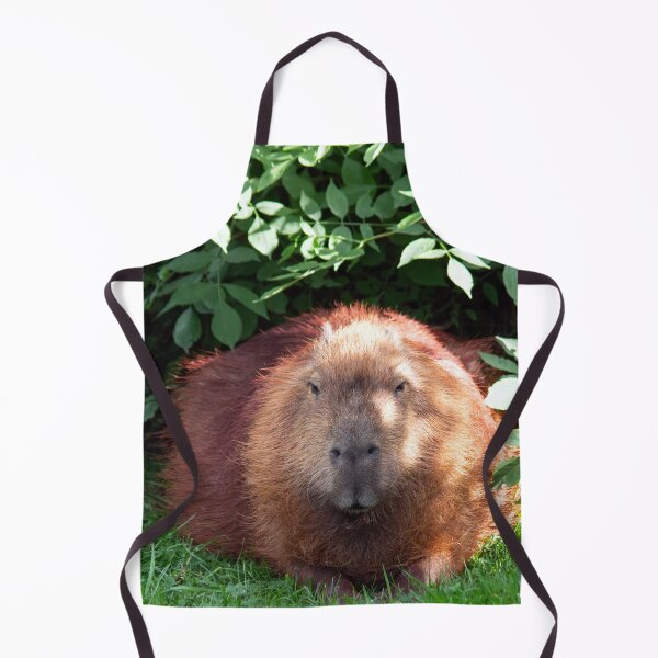 Item preview, Capybara designed and sold by HazelWright.
