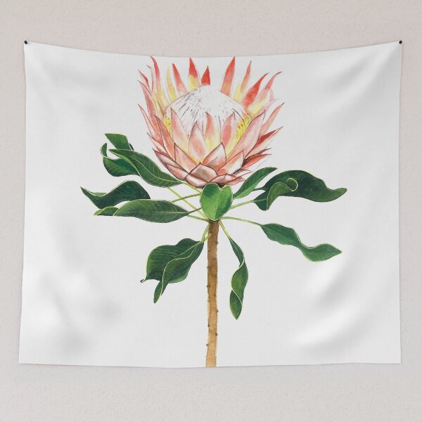 Aperçu de l'œuvre Aquarelle Roi Protea Fleur créée et vendue par CarolineJordaan.