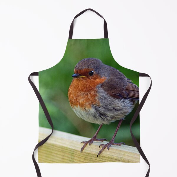 Item preview, Robin on a fence designed and sold by HazelWright.