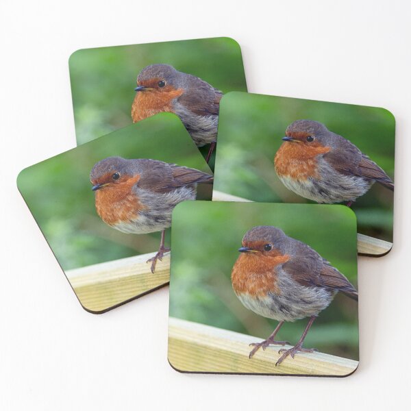 Item preview, Robin on a fence designed and sold by HazelWright.