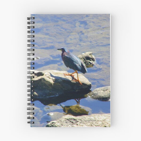 Item preview, Unusual Bird designed and sold by Shulie1.