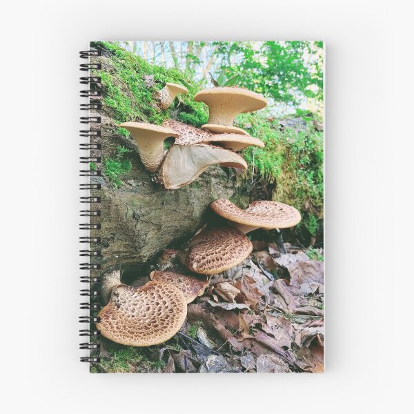Item preview, Mushroom beauty designed and sold by francikg71.