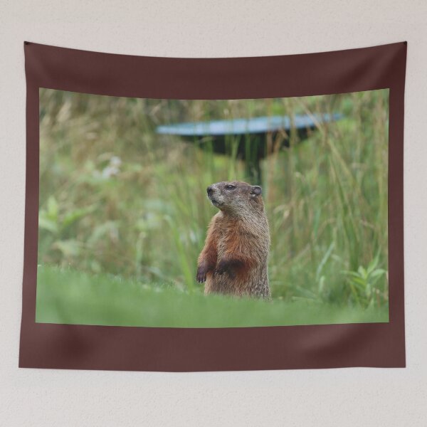 Item preview, Backyard Woodchuck designed and sold by LisaNaturePhoto.
