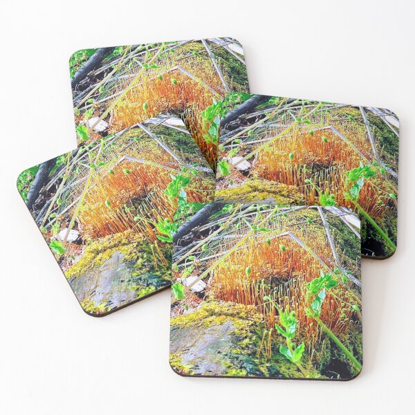 Item preview, Beautiful fungi designed and sold by francikg71.