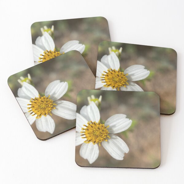 Item preview, Hairy Beggar's Ticks Flower designed and sold by Sinemathk.