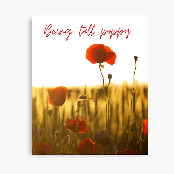 Being tall poppy ... Tall poppy syndrome Canvas Print