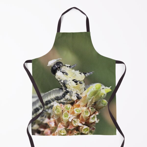 Item preview, r1169/ Finition 2021  " Surprise et Protection "  (c)(h) Olavia-Olao Okaio Créations designed and sold by o.okaïo.